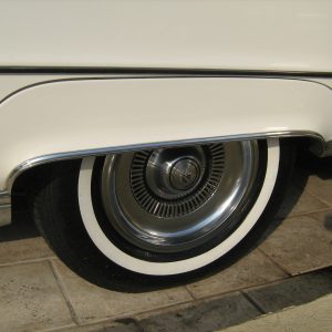 Fender Skirt